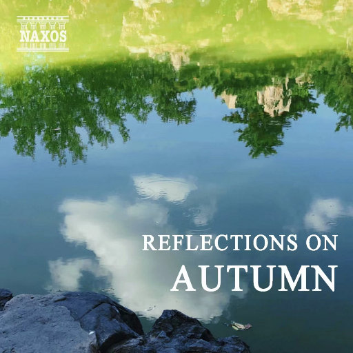 别揉我胸⋯啊⋯嗯～皇上视频
